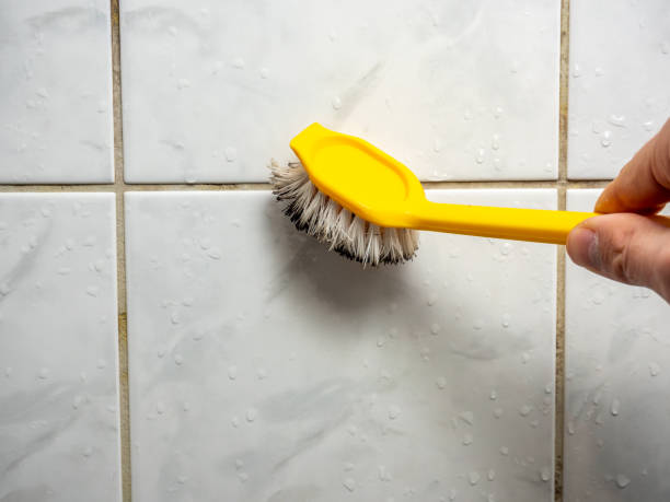 Best Black Mold Removal  in Lexington Hills, CA