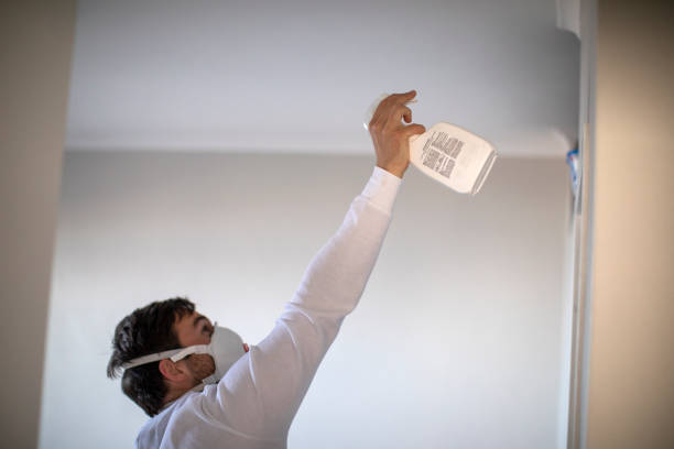 Office Mold Removal Services in Lexington Hills, CA