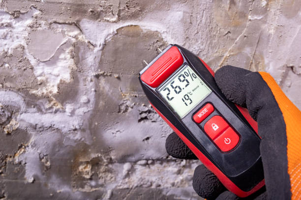 Best Crawl Space Mold Removal  in Lexington Hills, CA