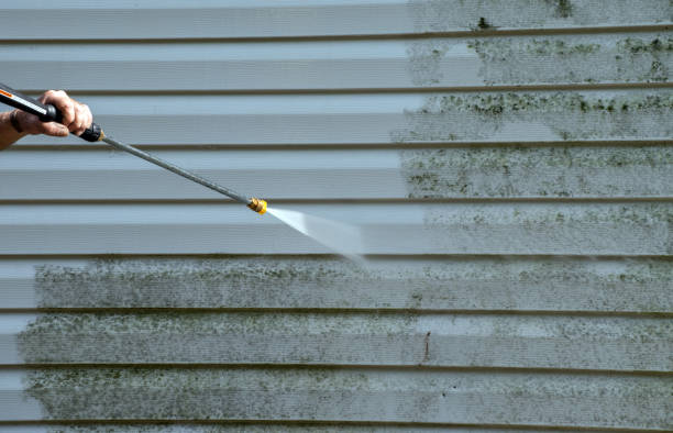 Best Certified Mold Removal  in Lexington Hills, CA