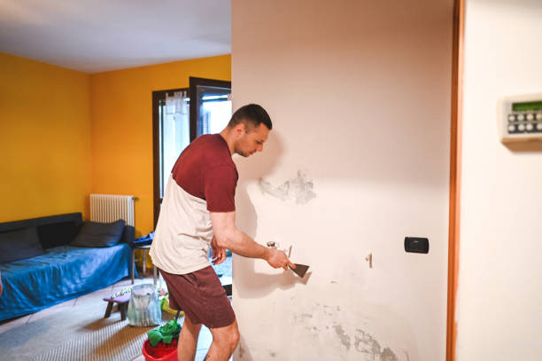 Best Local Mold Removal Service  in Lexington Hills, CA